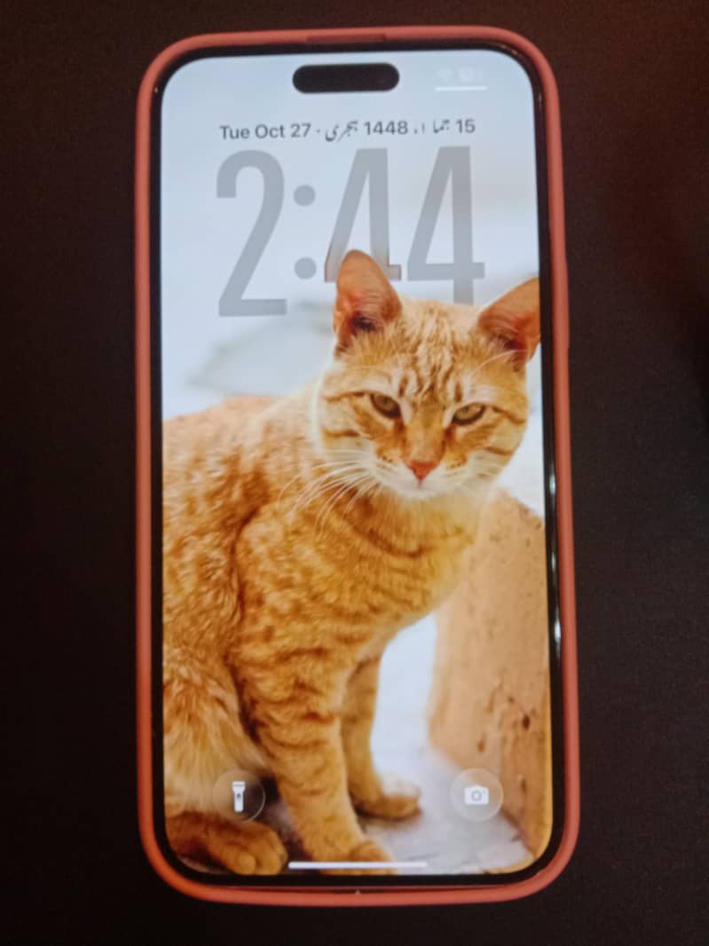 Apple iPhone 15 plus 0