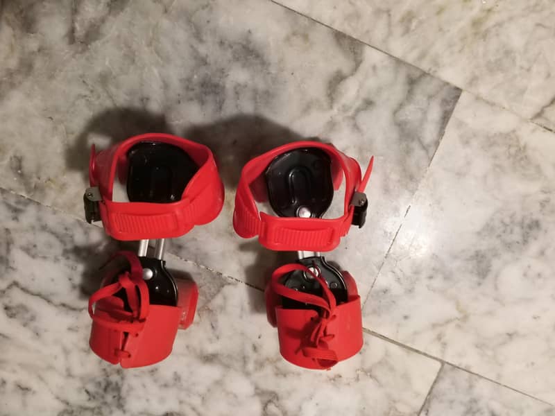 new skates 2