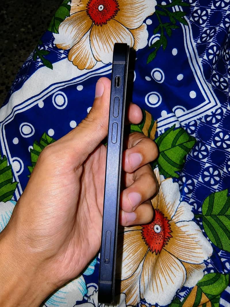 iPhone 12 1