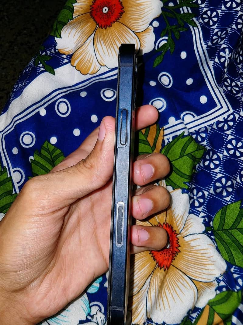 iPhone 12 2