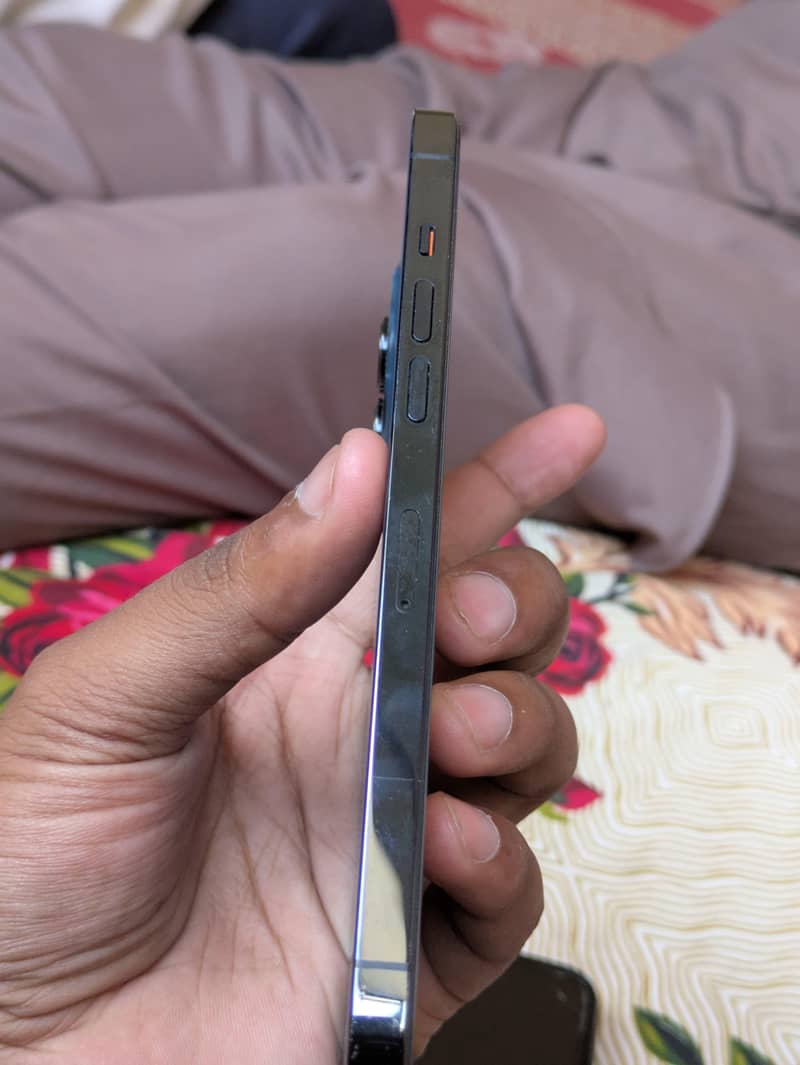 Apple iPhone 12 Pro Max 1