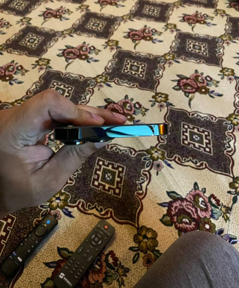 Apple iPhone 13 Pro Max 6