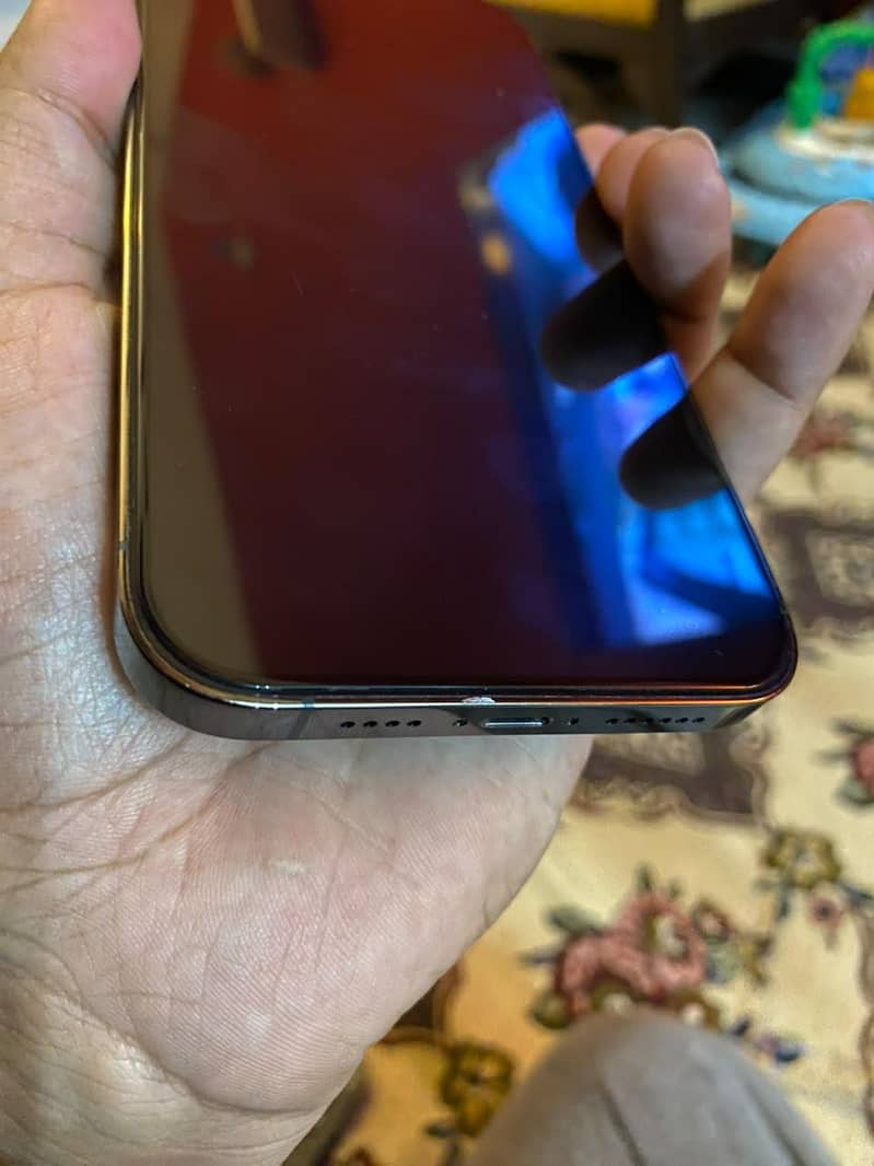Apple iPhone 13 Pro Max 7