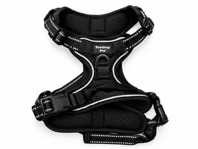 Imported Dog Harness & Belt / Large Dog Collar / Pet Chest Cover Pair