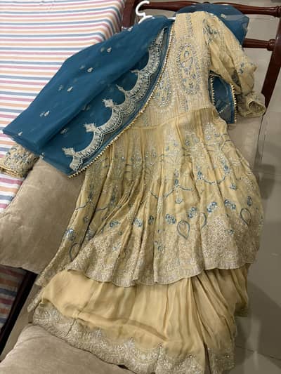 walima dress/wedding wear/sharara wear