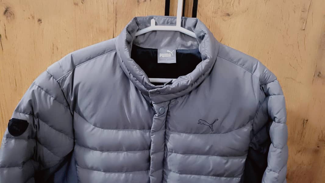jacket 1