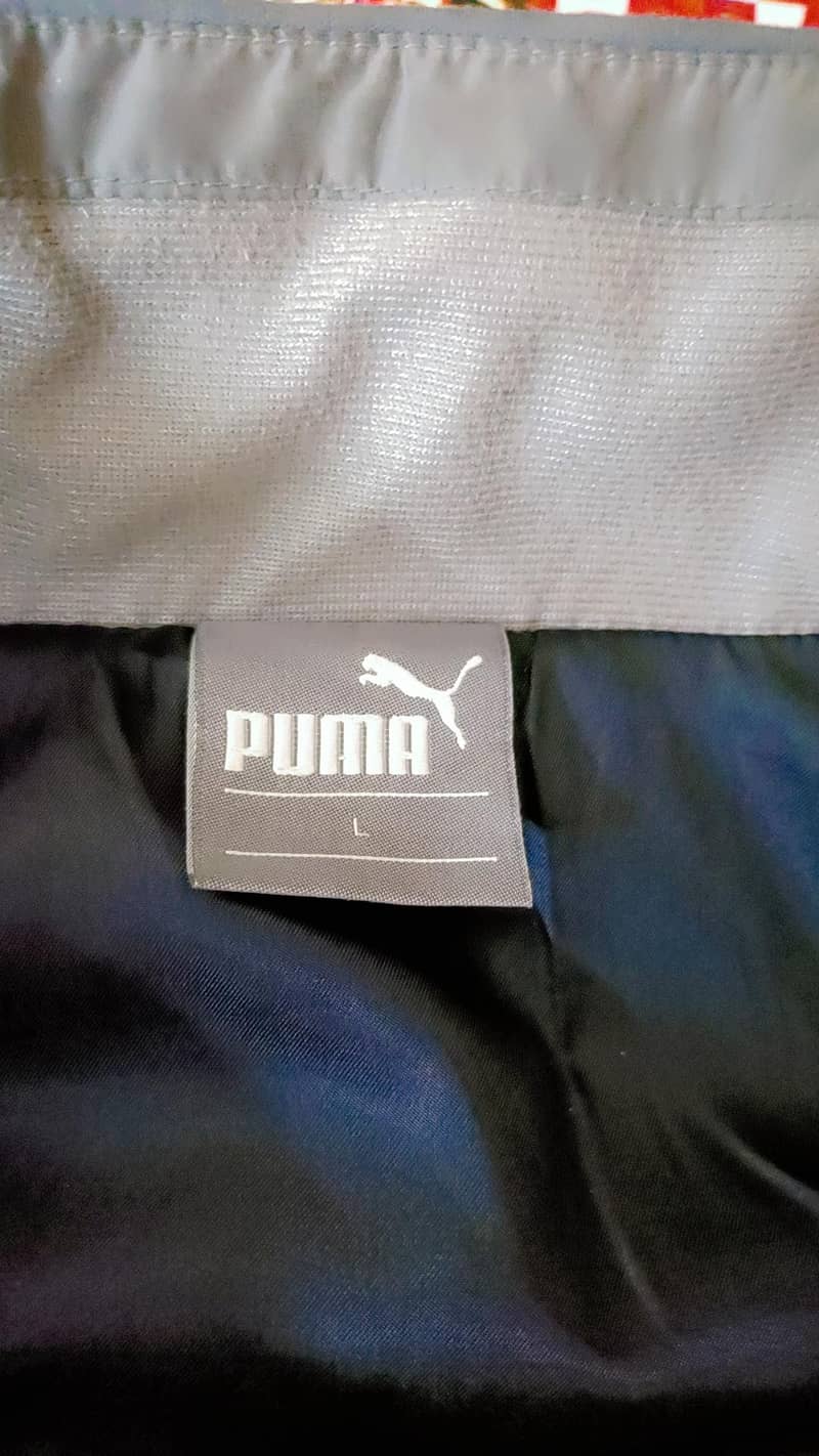 jacket 4