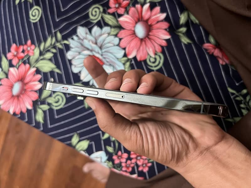 Apple iPhone 13 Pro Max 2