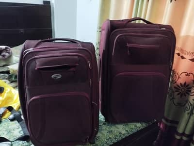 2 Bags For Sale Just Big Zips Issue