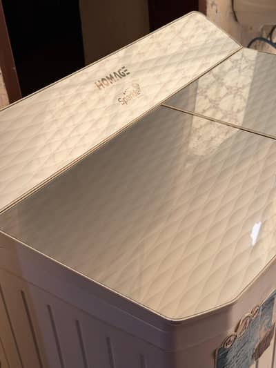 Homage 11Kg Twin Tub Semi-Automatic Washing Machine 10/10