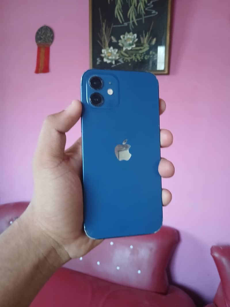Apple iPhone 12 1