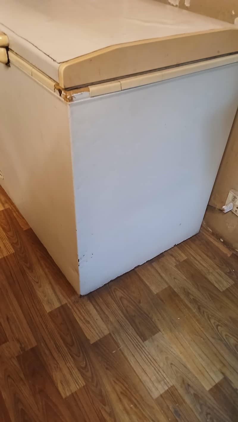 freezer 1