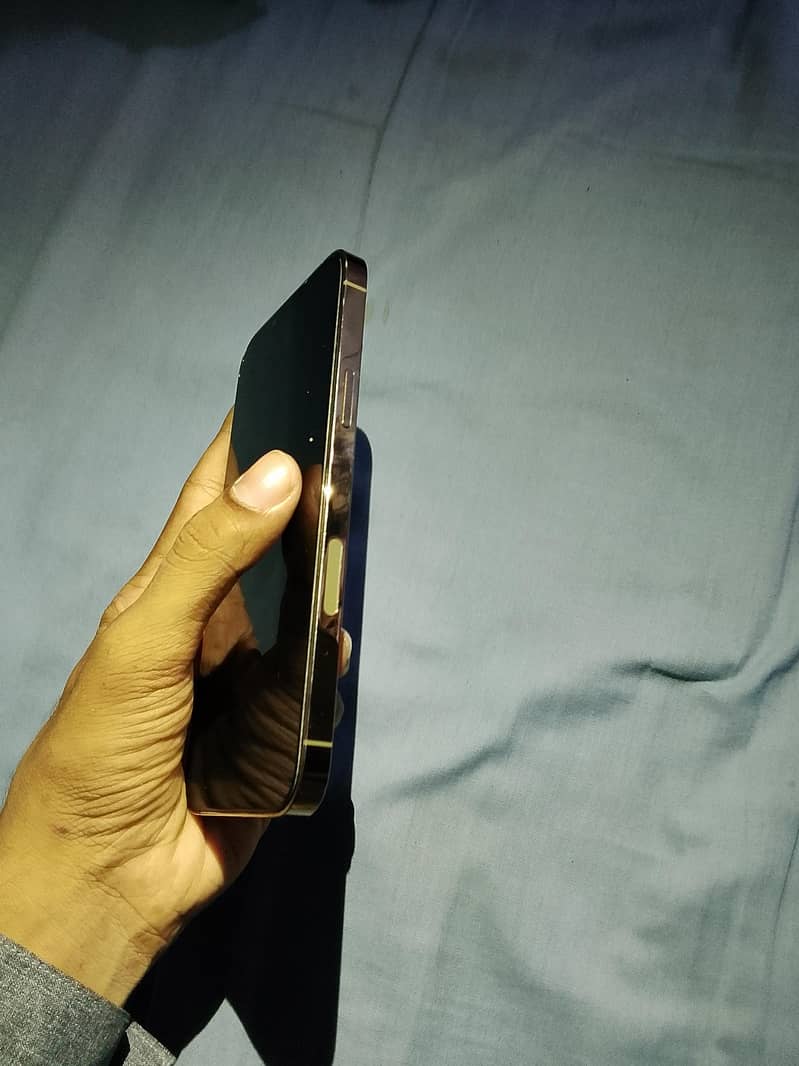 Apple iPhone 13 Pro Max 1