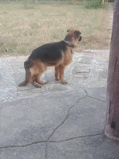 for sale