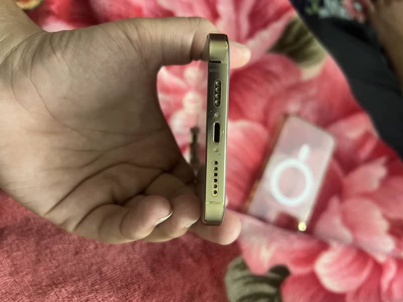 Apple iPhone 13 Pro Max 1