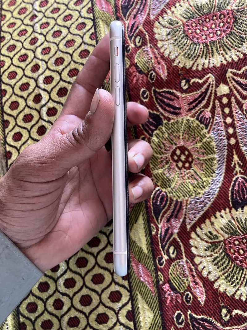Apple iPhone 11 3