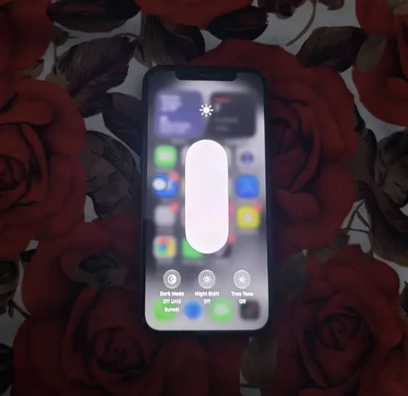 Apple iPhone 12 0