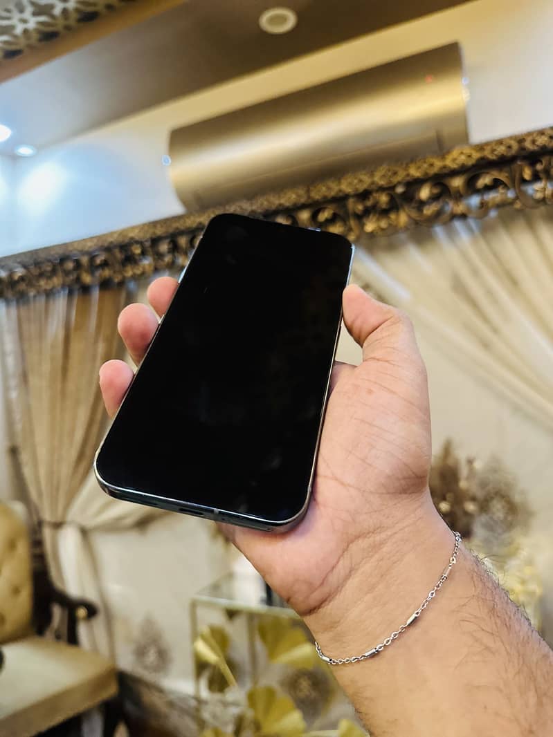 Google Pixel 9 Pro XL 1
