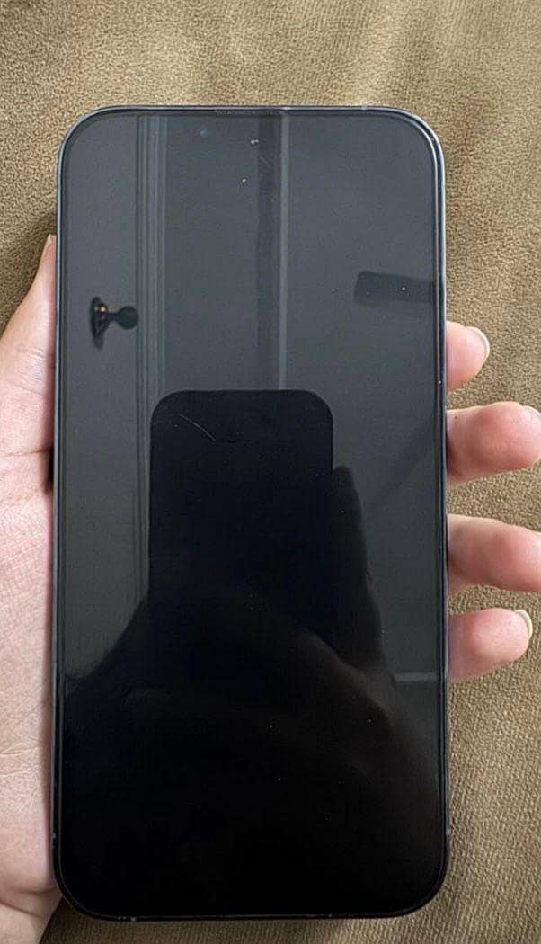 Apple iPhone 13 Pro Max 2