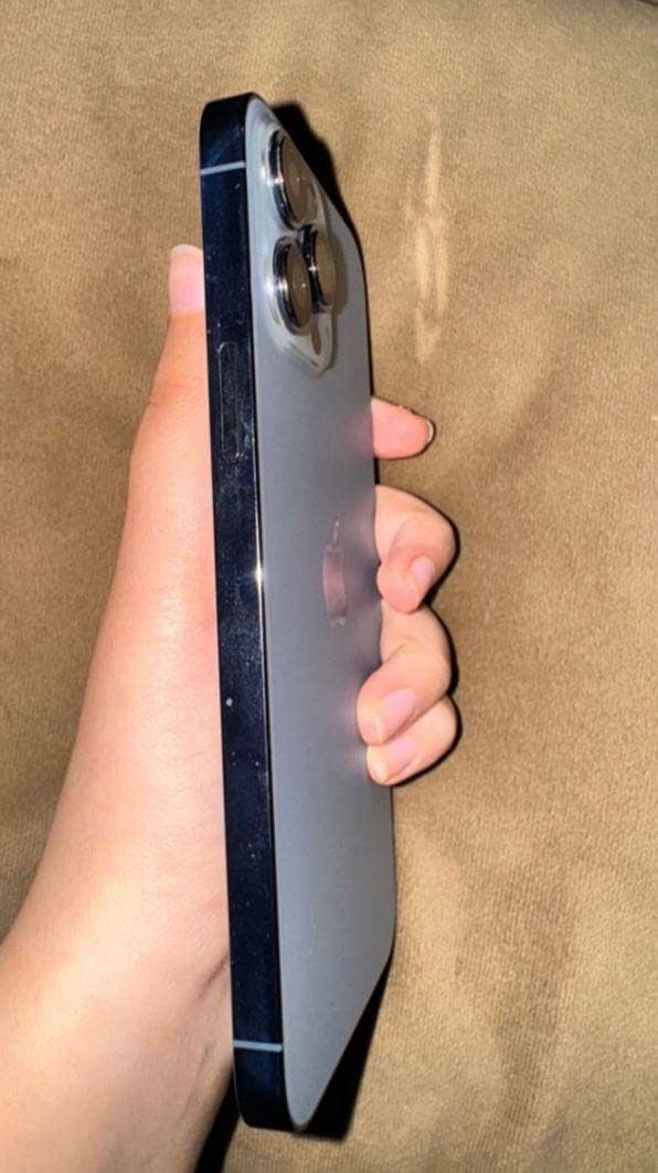 Apple iPhone 13 Pro Max 3