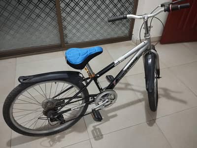 Bicycle - Imported