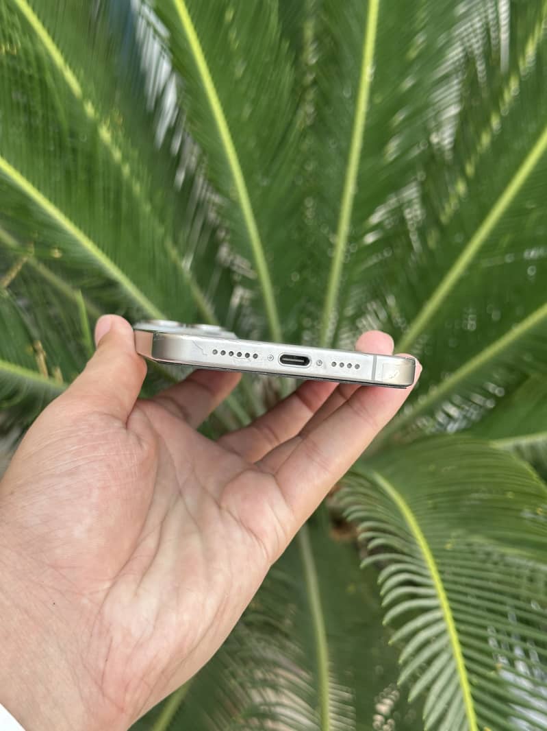Apple iPhone 15 Pro Max 1