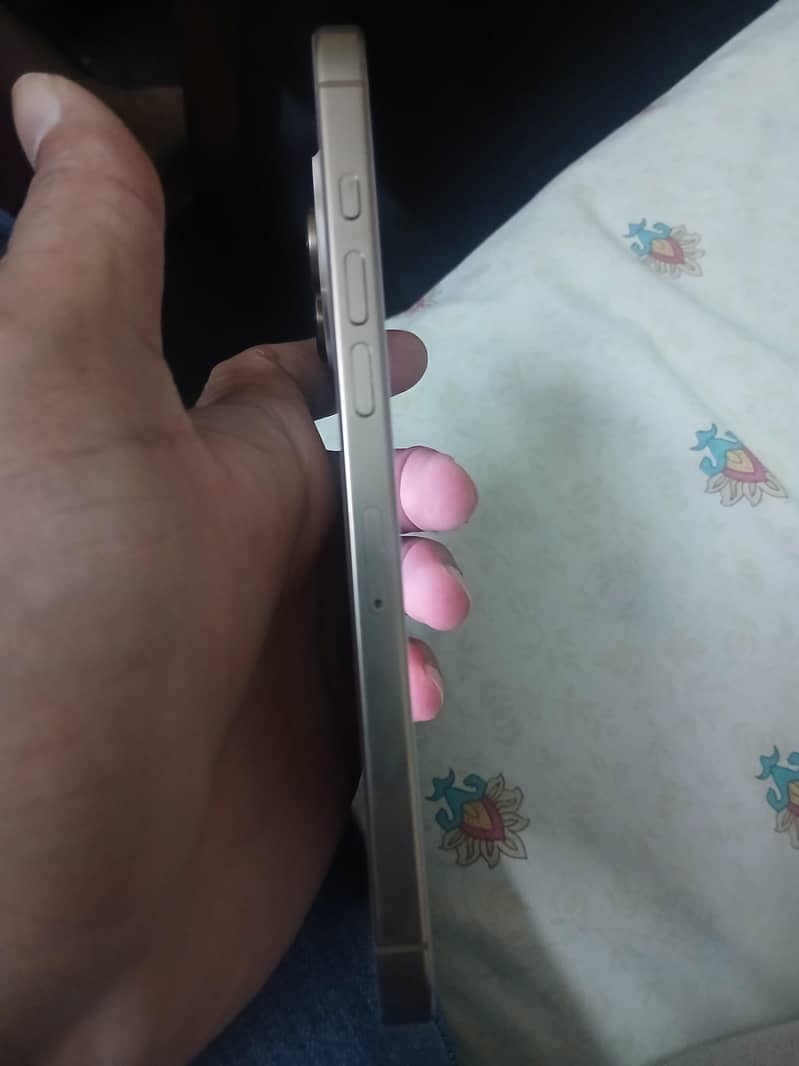 Apple iPhone 16 Pro Max 2
