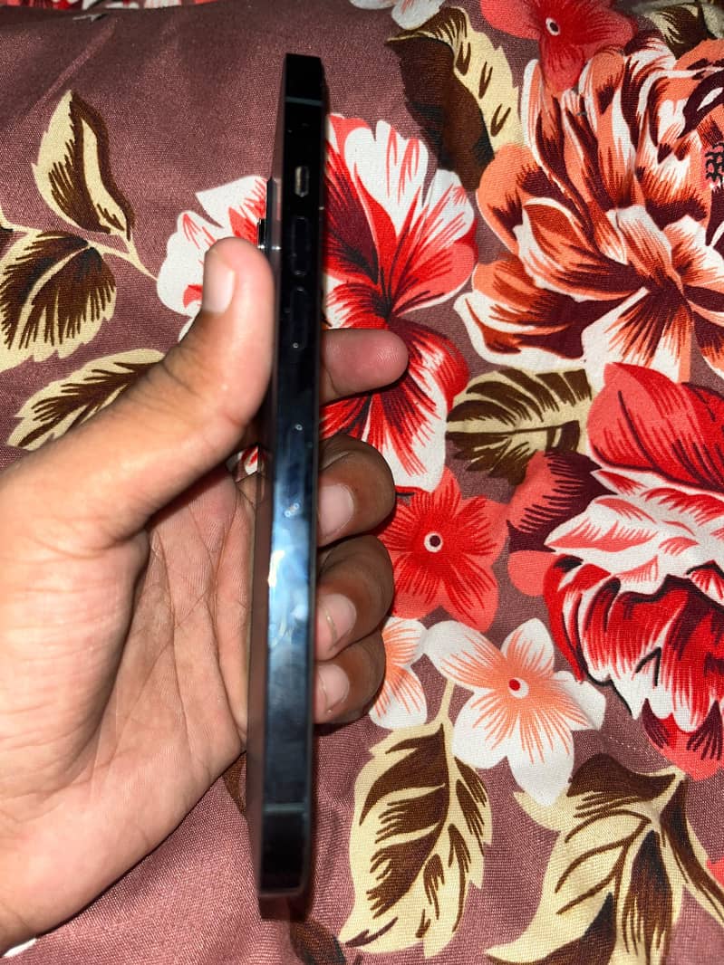 Apple iPhone 12 Pro Max 1