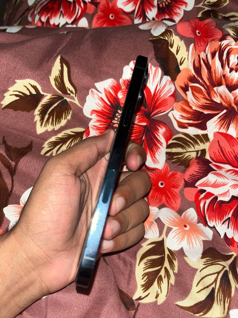 Apple iPhone 12 Pro Max 2