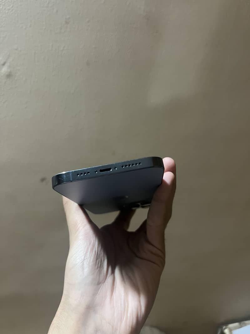 Apple iPhone 13 Pro Max 1