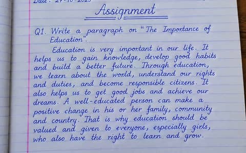  Assignment Writing & Typing Services | Urdu & English