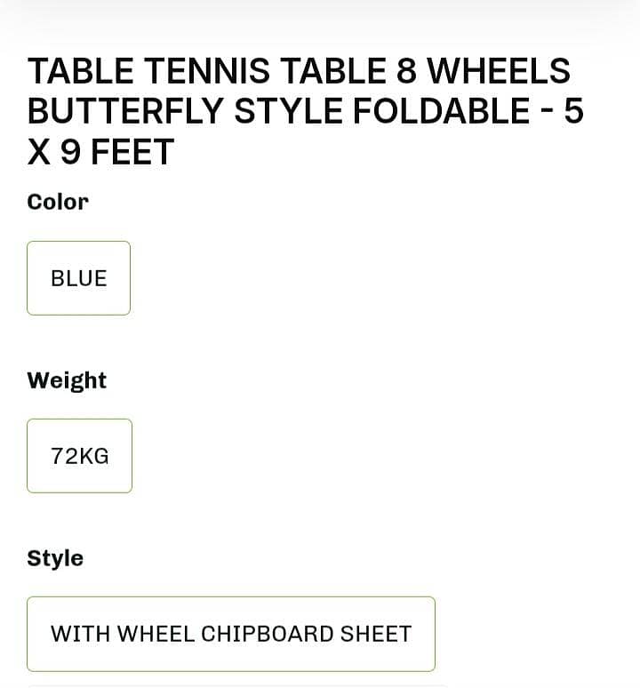 Table Tennis Table 2