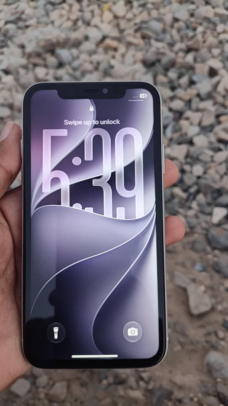 Apple iPhone 11 0