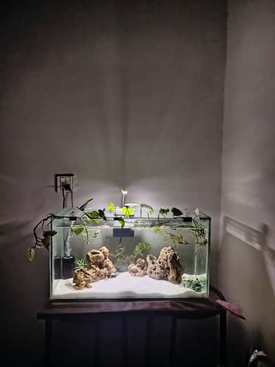 aquarium