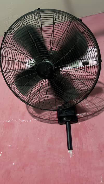 Black fans super Asia