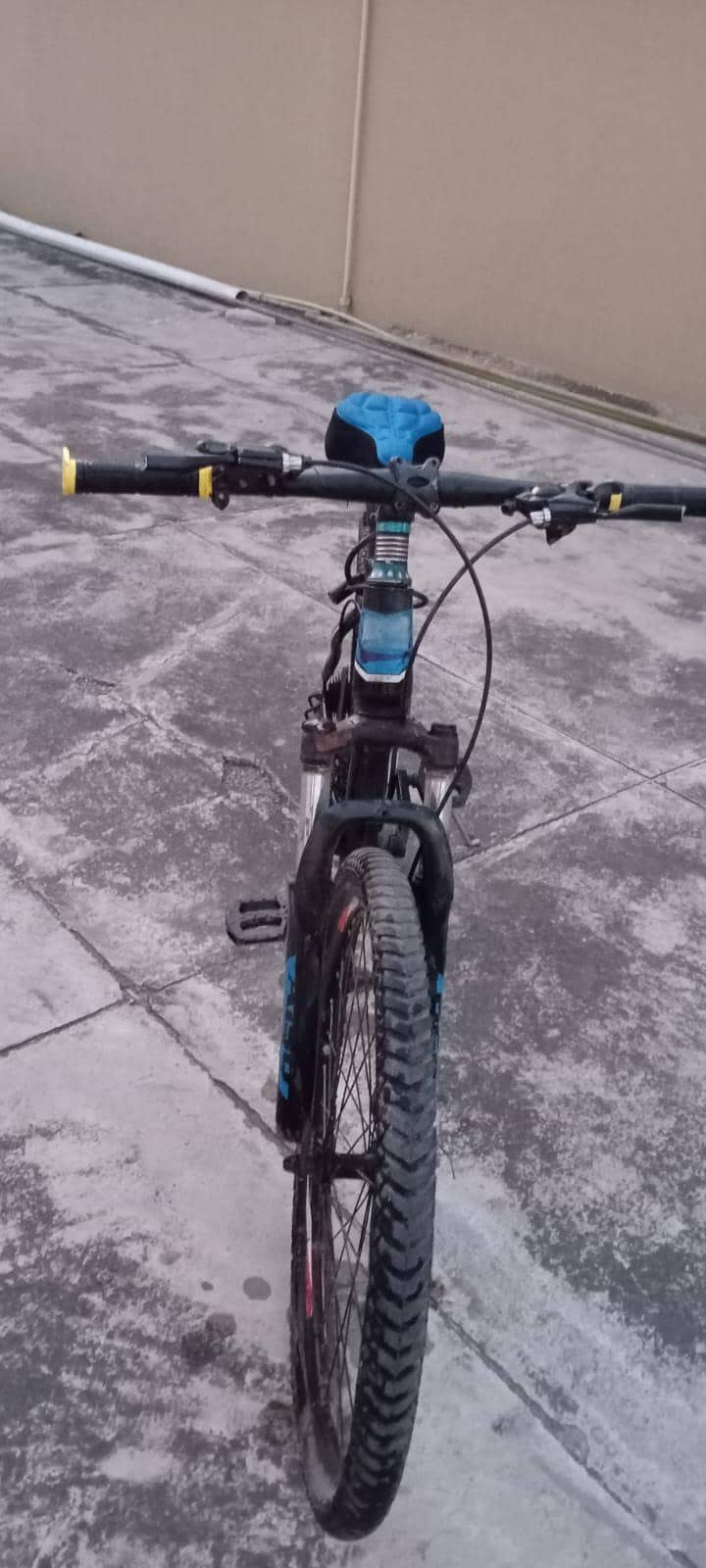 Bicycle Full size 1