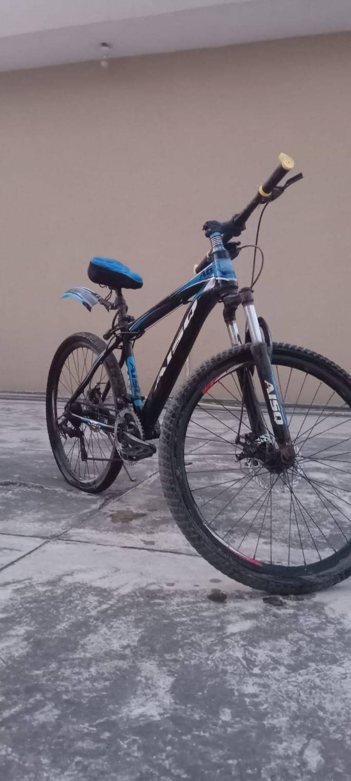 Bicycle Full size 2