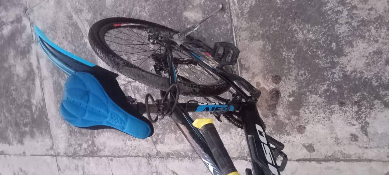 Bicycle Full size 4