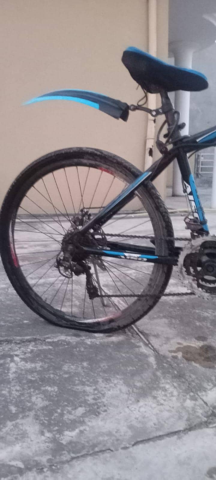 Bicycle Full size 5