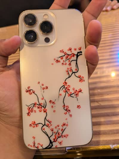 Apple iPhone 13 Pro