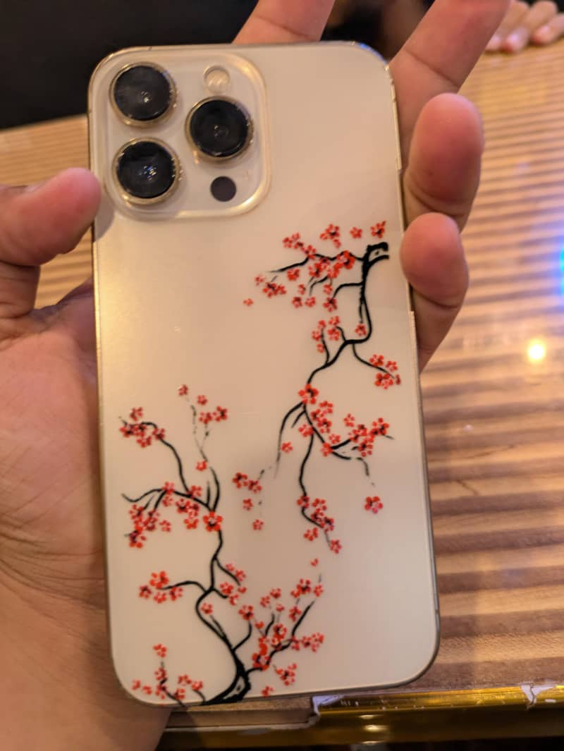 Apple iPhone 13 Pro 0
