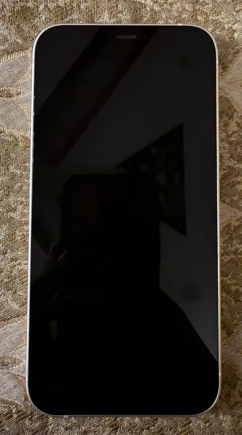 Apple iPhone 12 1