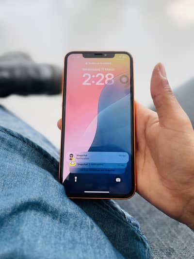 Apple iPhone XS Max