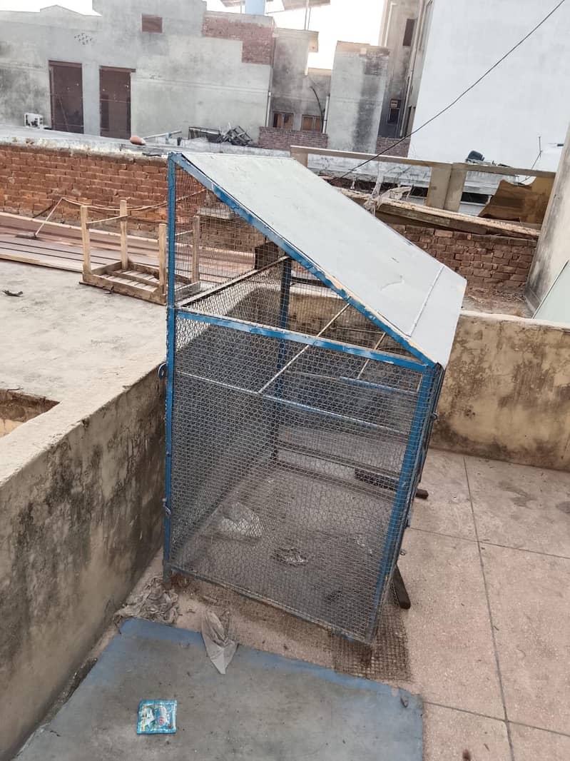 pinjra ache condition 1
