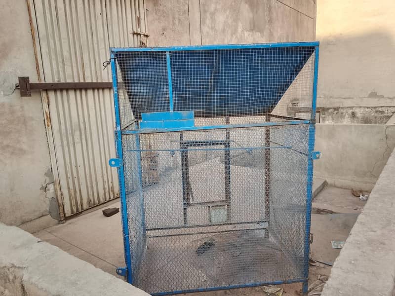 pinjra ache condition 3