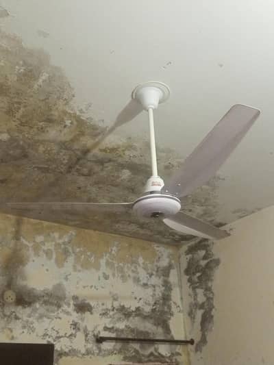 GFC Fan For Sale 100% Copper