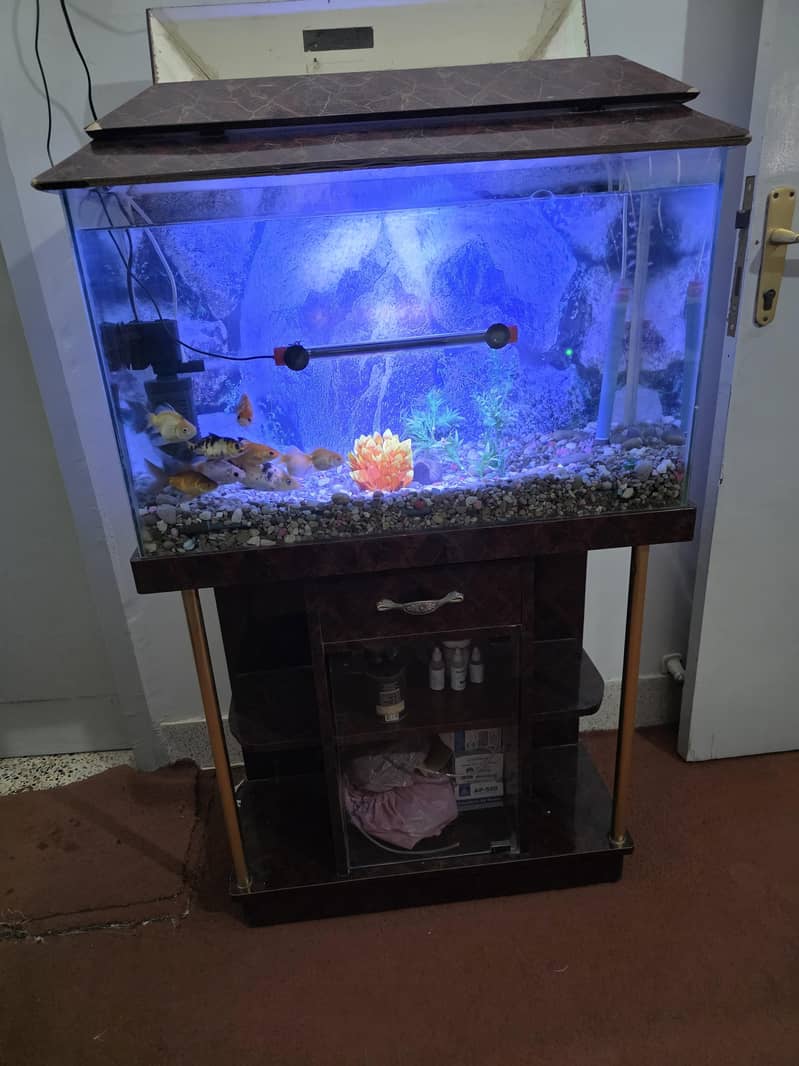 Aquarium 0