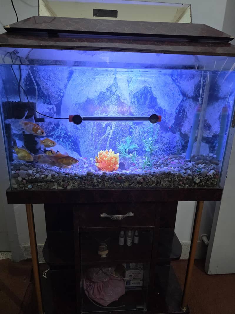 Aquarium 2