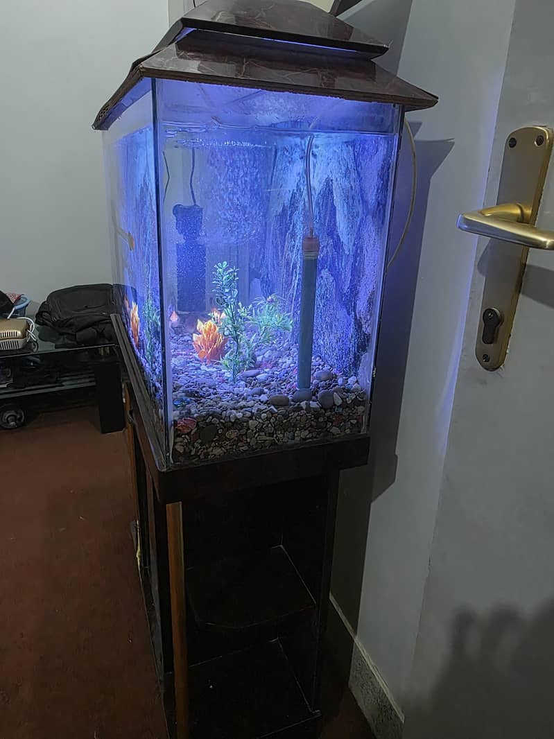 Aquarium 3
