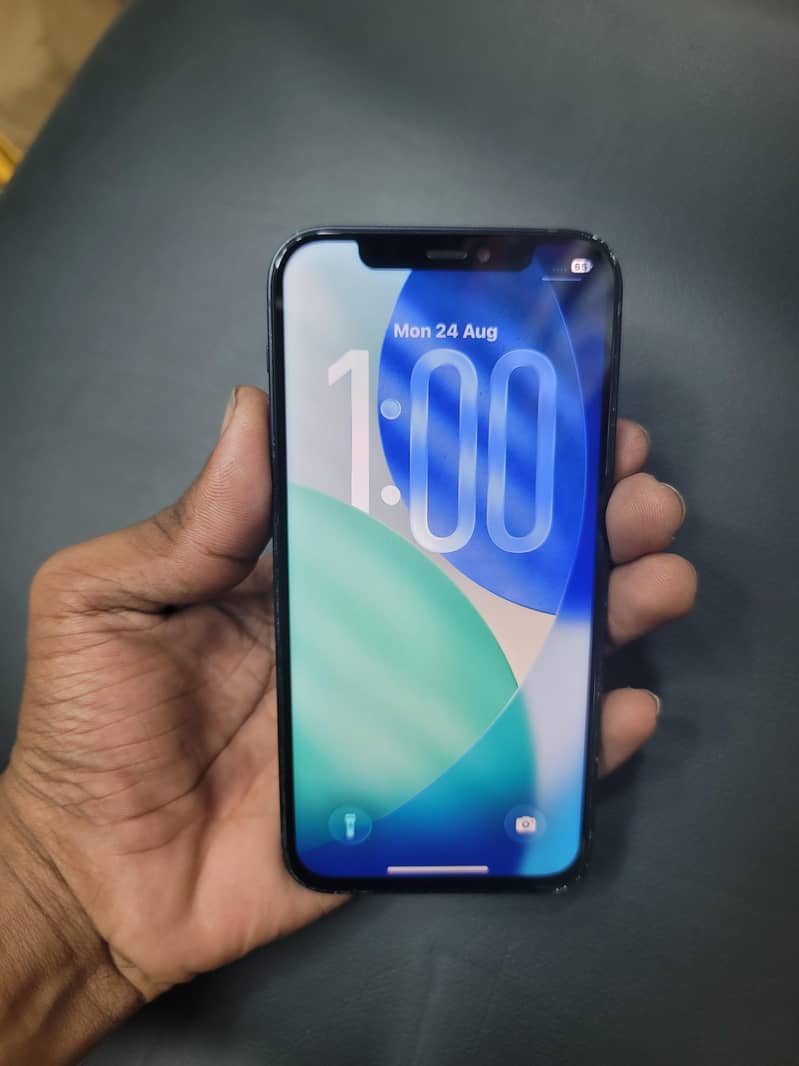 Apple iPhone 12 MDM 2
